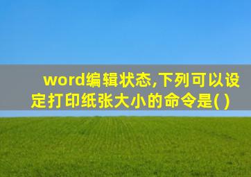 word编辑状态,下列可以设定打印纸张大小的命令是( )